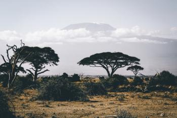 Familiereis Zuid Afrika