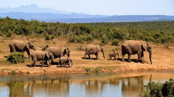 Reizen Zuid Afrika en Nimibië