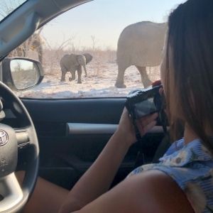 Etosha dag 12