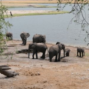 Victoria Falls Zimbabwe 10