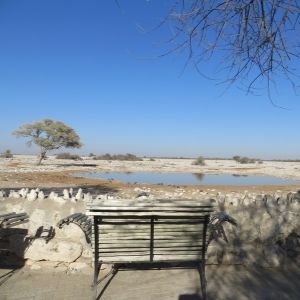 Etosha Okaukuejo waterhole 2