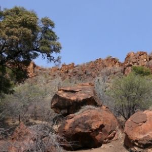 Waterberg Plateau 18