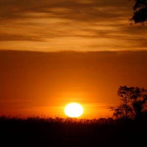 Etosha 14